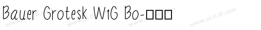 Bauer Grotesk W1G Bo字体转换